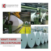 Kraft Paper Mills in Punjab