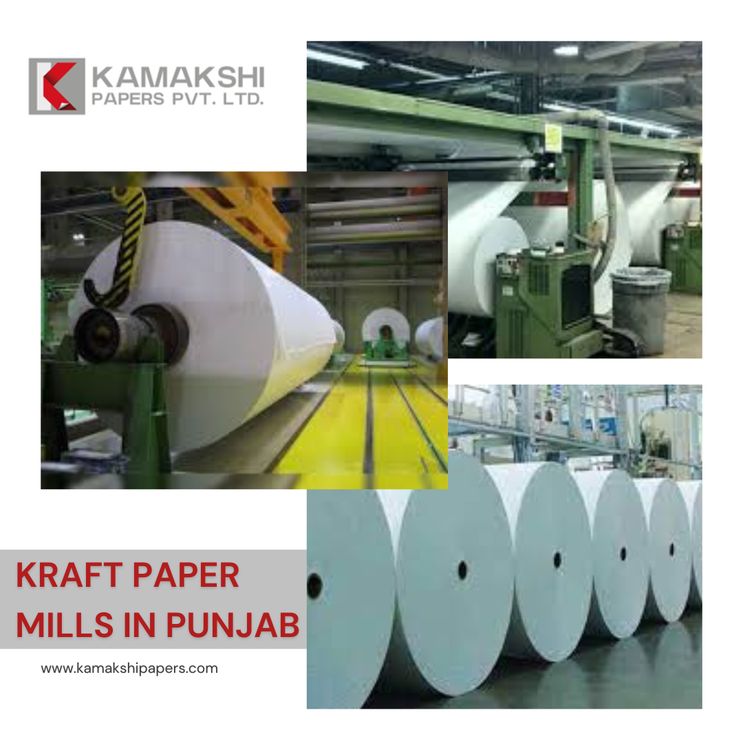 The Rise of Kraft Paper Mills in Punjab: A Sustainable Revolution
